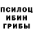 Галлюциногенные грибы Magic Shrooms Natia Pareulidze