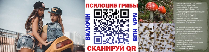 гидра сайт  Ростов-на-Дону  Псилоцибиновые грибы MAGIC MUSHROOMS 