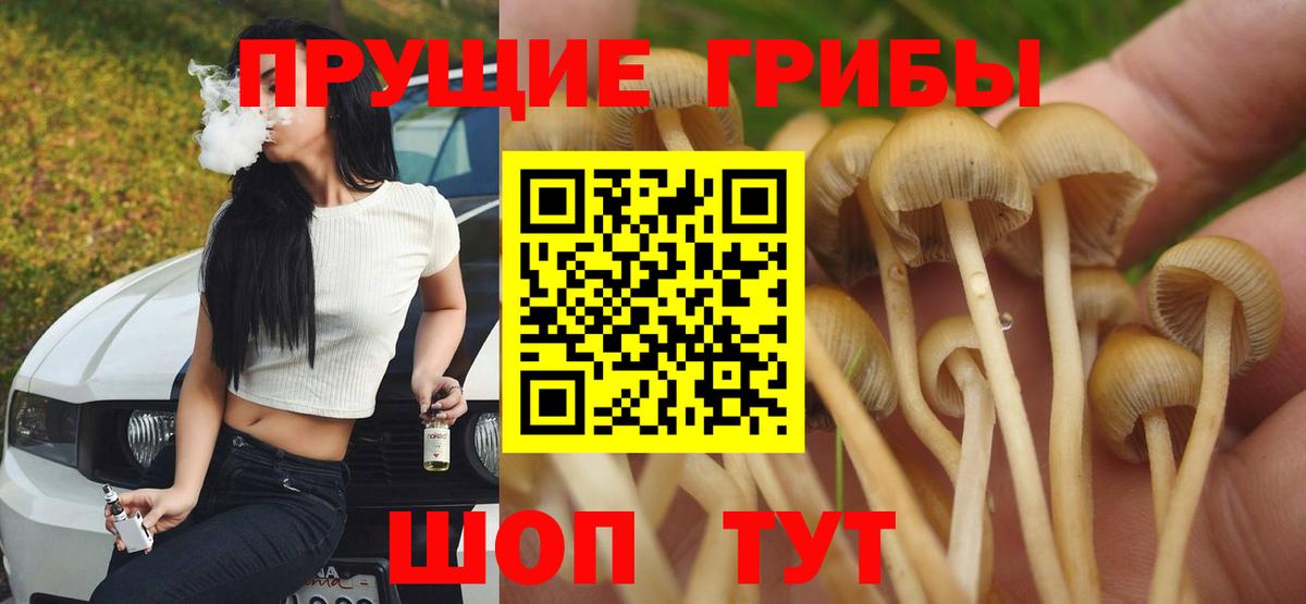 Галлюциногенные грибы мицелий  Вход с VPN  Ростов-на-Дону 